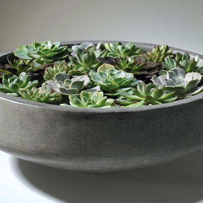 Newport Bowl | Concrete Low Bowl