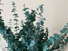 Load image into Gallery viewer, Preserved Eucalyptus
