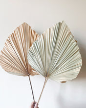 Load image into Gallery viewer, Dried Anahaw Leaves | Dried Palm Leaves
